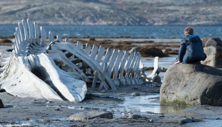 170 ileti dizisinden 2. SALT Galata’da Perşembe Sineması Gösterimleri Sinema Severleri Bekliyor
