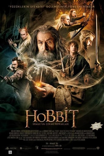 Hobbit: Smaug'un Çorak Toprakları poster