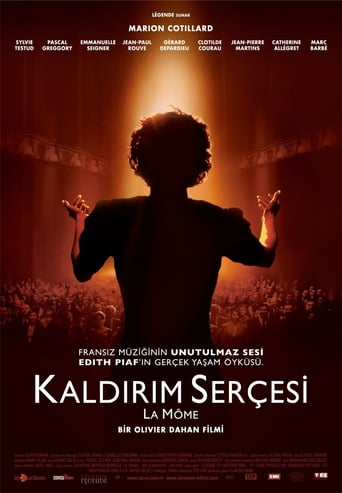 Kaldırım Serçesi